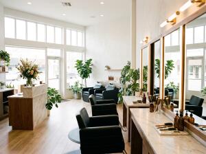 Interior of an organic salon and spa for sale in North Palm Beach, FL, address confidential, with styling stations and plants